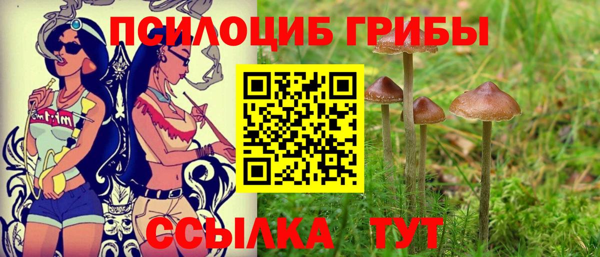 Галлюциногенные грибы мухоморы  Псилоцибиновые грибы MAGIC MUSHROOMS  Вход с VPN  Большой Камень 